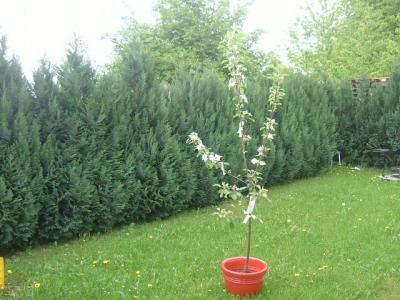 Bild zu taufe vorbei.. grade sind alle nachhause.. jeromes... da?? - Baby Forum - Allgemeine Themen