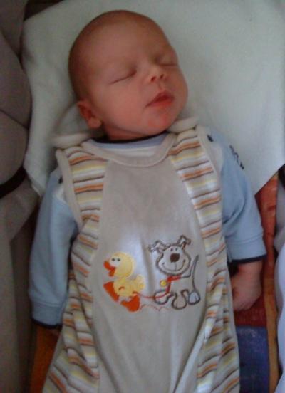 Bild zu BERT - der schlafende - Baby Forum - Allgemeine Themen