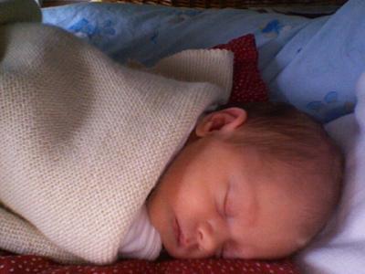 Bild zu tige, du bist doch neugierig - Baby Forum - Allgemeine Themen