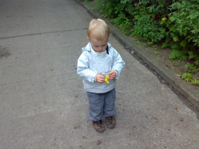 Bild zu