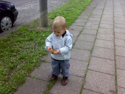 Bild zu
