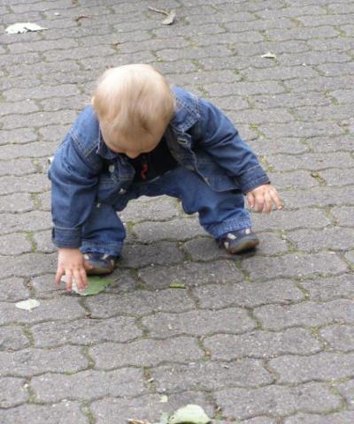 Bild zu
