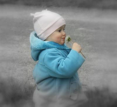 Bild zu 