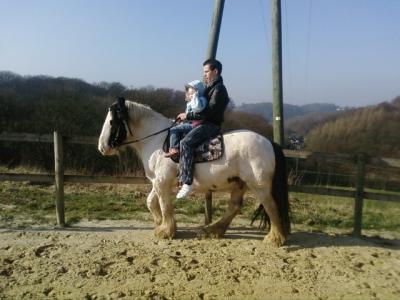 Bild zu