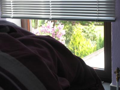 Bild zu 