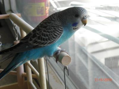 Bild zu