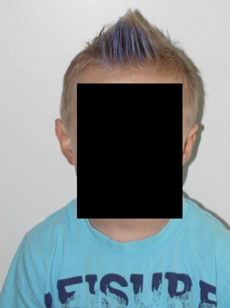 Bild zu