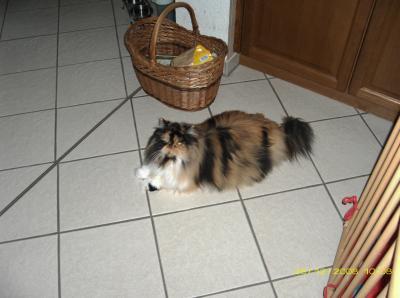 Bild zu 
