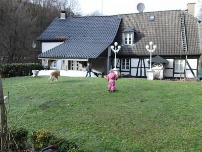 Bild zu 
