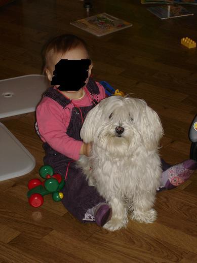 Bild zu Silvana - Baby Forum - Allgemeine Themen