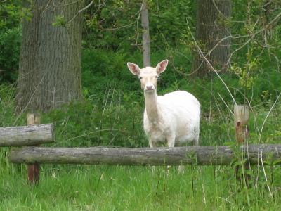 Bild zu Gefüttert heute - Baby Forum - Allgemeine Themen