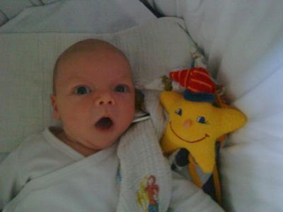 Bild zu schnapp die fliege - Baby Forum - Allgemeine Themen
