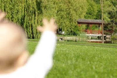 Bild zu 