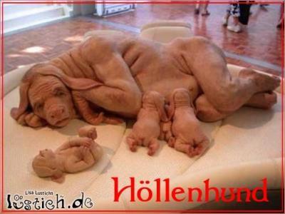Bild zu mädels... gute nachrichten.. - Baby Forum - Allgemeine Themen