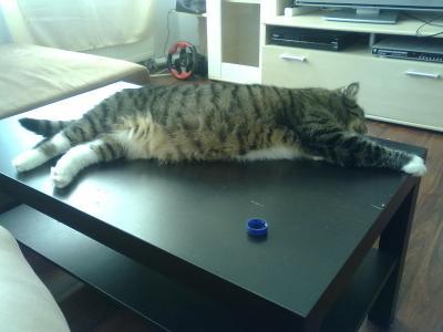 Bild zu 