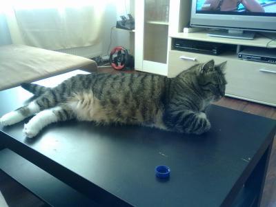 Bild zu 