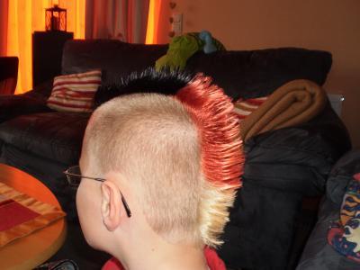 Bild zu
