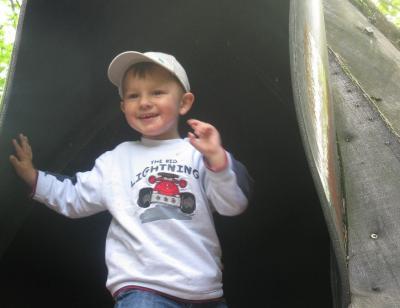 Bild zu 