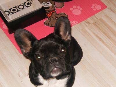 Bild zu