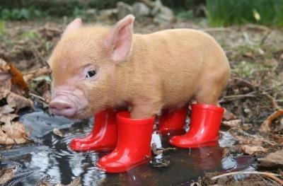 Bild zu zum aufheitern bei schlechtem wetter - Baby Forum - Allgemeine Themen