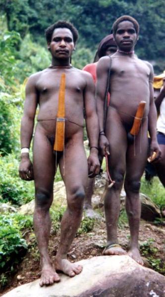 Bild zu Origin of the Vuvuzela - Baby Forum - Allgemeine Themen
