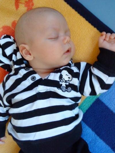 Bild zu lulla - Baby Forum - Allgemeine Themen