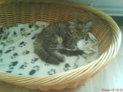 Bild zu Oh diese... - Baby Forum - Allgemeine Themen