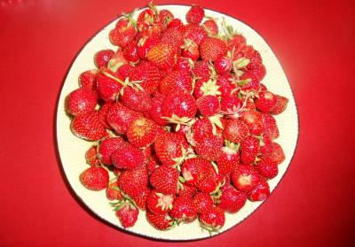 Bild zu ach, schnuggel hier :) wie versprochen die Erdbeeren für dich - Baby Forum - Allgemeine Themen