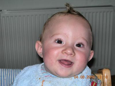 Bild zu 
