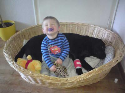 Bild zu 