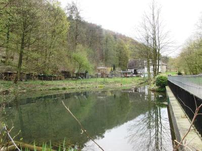 Bild zu 