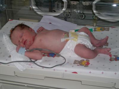 Bild zu Carry2 - Baby Forum - Allgemeine Themen