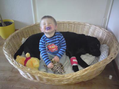 Bild zu