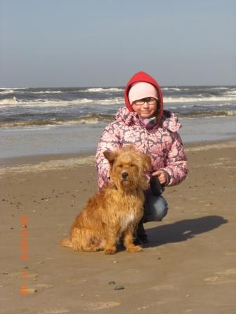Bild zu