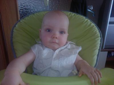 Bild zu Mein Minimops - Baby Forum - Allgemeine Themen