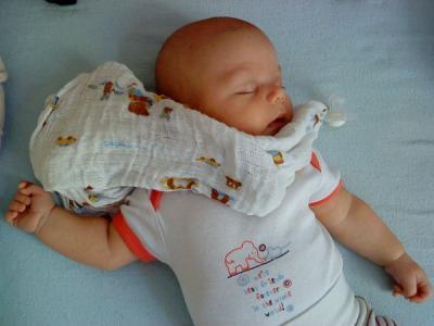 Bild zu
