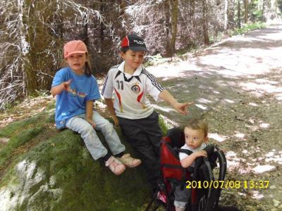 Bild zu
