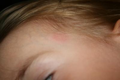 Bild zu Was hat sie da ?! - Baby Forum - Allgemeine Themen
