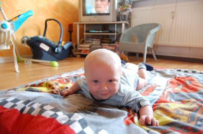 Bild zu 