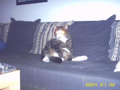 Bild zu ich auch..nackt - Baby Forum - Allgemeine Themen