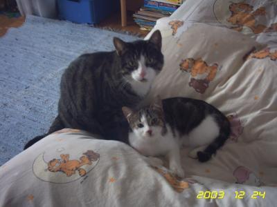 Bild zu 