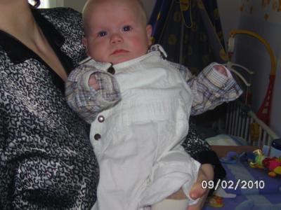 Bild zu 