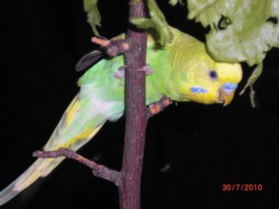 Bild zu