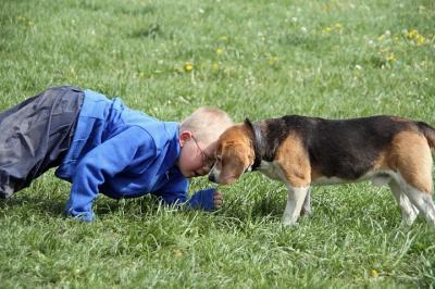 Bild zu 