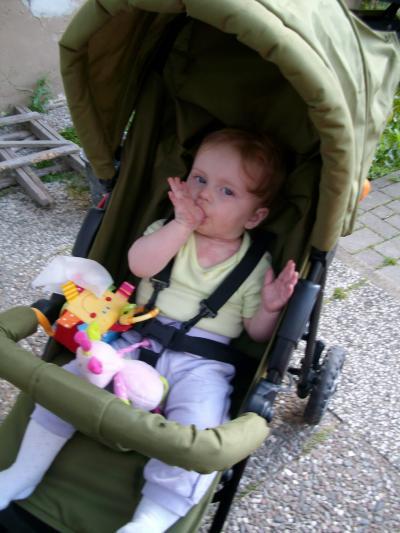 Bild zu 