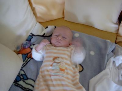 Bild zu ANNY noch eines - Baby Forum - Allgemeine Themen