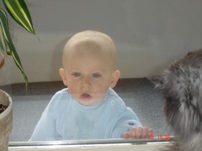Bild zu 