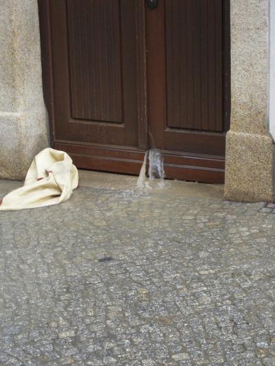 Bild zu Hier mal ein paar Fotos vom Hochwasser. - Baby Forum - Allgemeine Themen