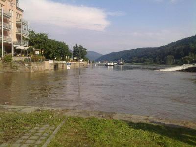 Bild zu hochwasser in bad schandau am sonntag - Baby Forum - Allgemeine Themen