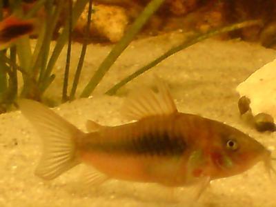 Bild zu brauch mal ganz schnell eure vorschläge.... - Baby Forum - Allgemeine Themen